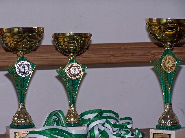 Sach.Mixed in Zwickau091_edited.JPG - So sehen die Pokale aus